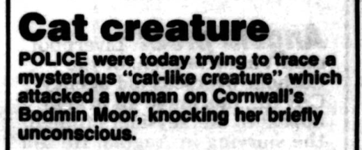 Em 1993 um artigo do Liverpool Echo noticiou que a polícia estava localizando uma misteriosa "criatura semelhante a um gato" que teria atacado uma mulher, deixando-a brevemente insconsciente. (Créditos: Liverpool Echo, 27 Out. 1993)