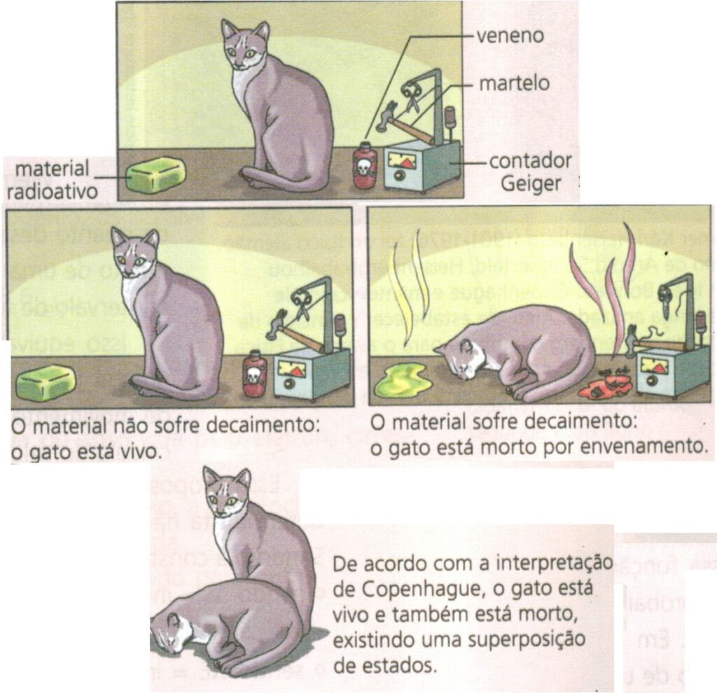 Até que alguém abrisse a caixa, o gato estaria, teoricamente, vivo e morto ao mesmo tempo. (Reprodução: Professor Maminha)