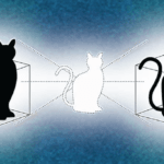 Gato de Schrödinger: O experimento que desafia a realidade. Ilustração de Michael S. Helfenbein.