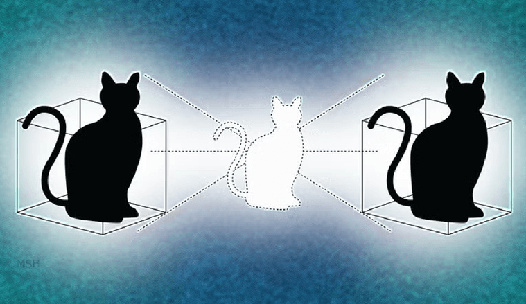 Gato de Schrödinger: O experimento que desafia a realidade. Ilustração de Michael S. Helfenbein.