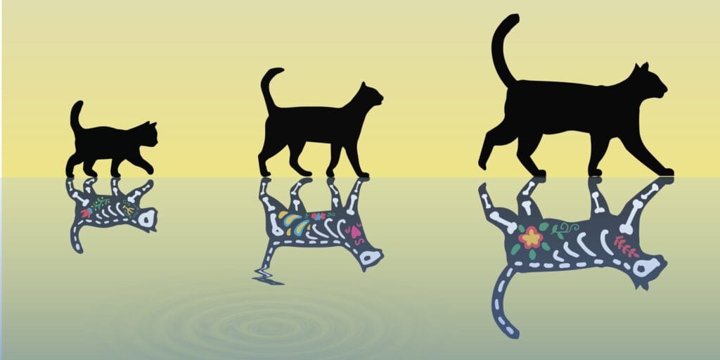 Cientistas da ETH Zurich avançaram na criação de gatos de Schrödinger mais pesados, que podem estar vivos (acima) e mortos (abaixo) ao mesmo tempo. (Créditos: ETH Zurich)