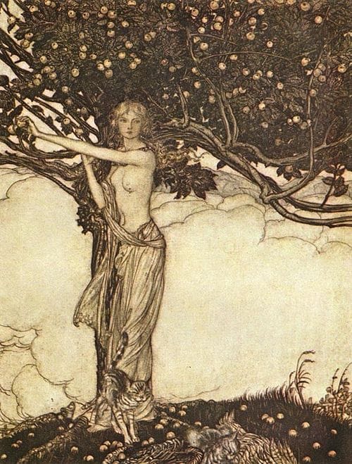 Freia — uma combinação de Freyja e da deusa Iðunn — da ópera Der Ring des Nibelungen de Richard Wagner, conforme ilustrado (1910) por Arthur Rackham. (Reprodução: Wikipedia)