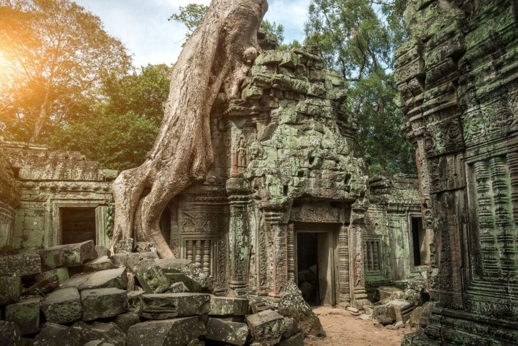 Os templos de Angkor são tudo o que resta da cidade, e estão sendo retomados pelas árvores. (Reprodução: Getty Images)