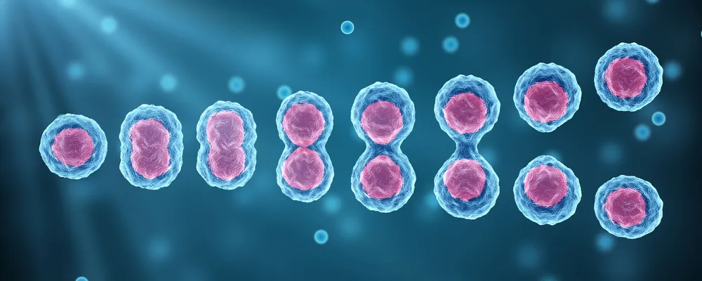 Clonagem Humana é possível? Limites e avanços tecnológicos. (Reprodução: Getty Images)